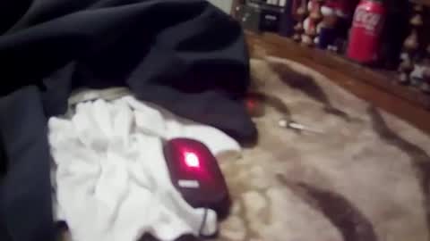 yangolox3 online show from March 2, 9:38 am