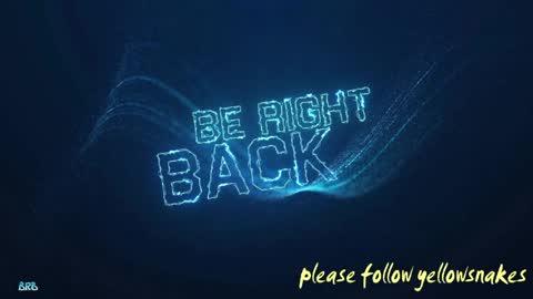 .     y e l l o w s n a k e s       . online show from April 12, 11:11 am