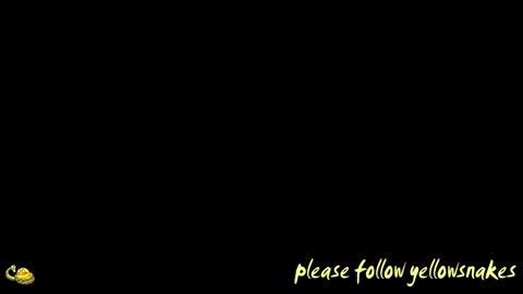 .     y e l l o w s n a k e s       . online show from March 19, 10:35 pm