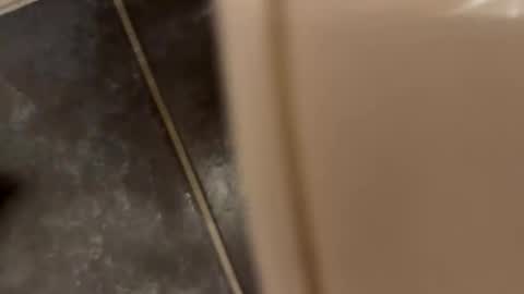 yourdad24 online show from November 22, 1:00 pm