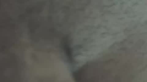 Devil online show from March 12, 1:24 am