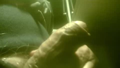 zaboski4 online show from January 12, 10:19 am