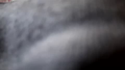 zhariffclee23 online show from November 27, 4:43 pm