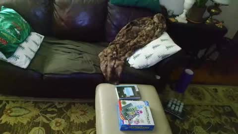 Jesse online show from February 5, 2:51 am