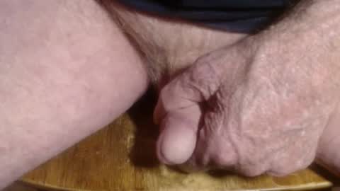 ZZ online show from November 24, 1:34 pm