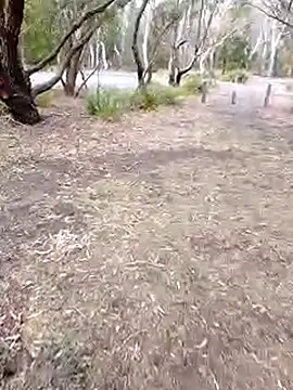 stiffandlubedxh online show from October 13, 9:21 pm