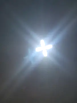 Ricorryxh online show from October 14, 4:19 am