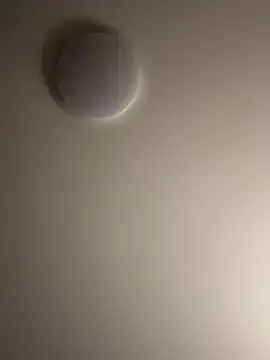 Dreamer553 online show from December 4, 12:39 am