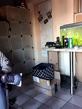 Hippiep online show from March 2, 1:42 pm