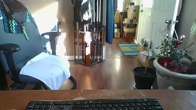 Daremeknot online show from March 10, 1:54 pm