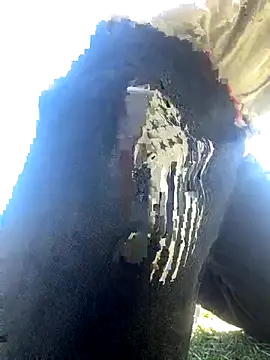 Followthepiper online show from October 8, 8:02 pm