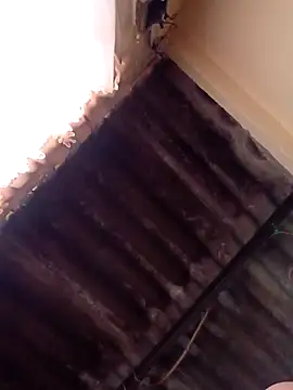 dantero online show from January 13, 4:51 pm