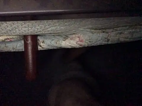 Nodsride online show from July 12, 4:25 am