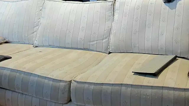 jayshort786 online show from September 14, 2:52 pm