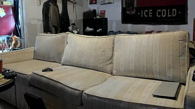 jayshort786 online show from November 21, 5:34 pm