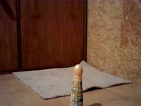 secretbeer9 online show from January 9, 9:14 am