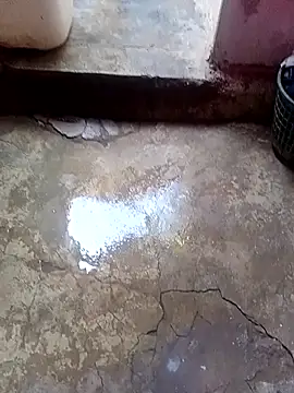 rau 4455 online show from October 7, 9:13 am