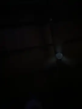 madaussiehere online show from January 22, 8:17 pm