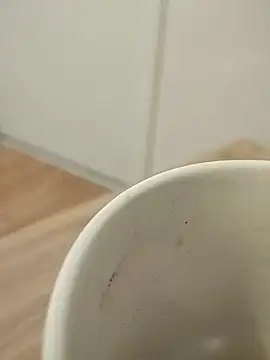 chalaHot online show from December 10, 9:01 am