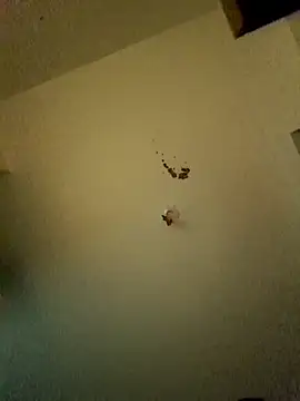 DaddyQuimHot online show from November 4, 6:58 am