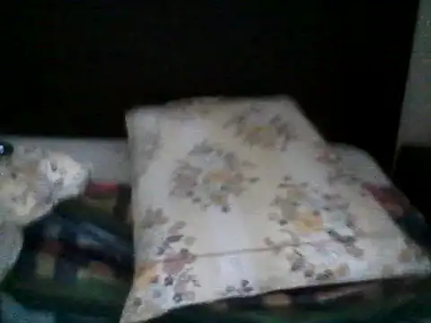 Snapshot of iamkingendymion chatting on March 8, 10:39 am iamkingendymion online show from March 8, 10:39 am