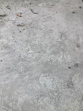 Beijing2000 online show from October 11, 2:37 am