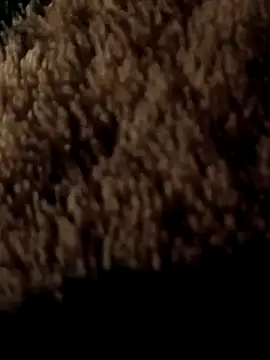 ySqmbVanbe online show from March 7, 1:58 am