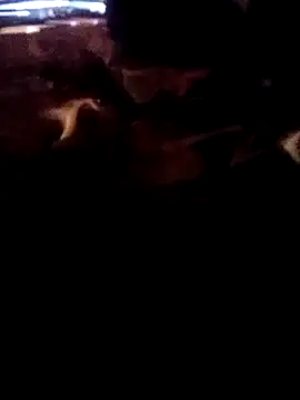 ySqmbVanbe online show from March 2, 7:59 am