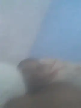 fandangasss online show from November 17, 2:58 am