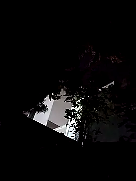 nkp23cm online show from November 24, 11:11 am