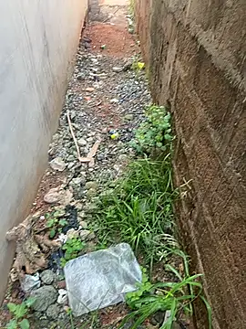 Black-mamba-madingo online show from October 26, 7:10 am