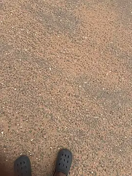 Black-mamba-madingo online show from October 13, 11:05 am