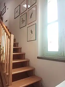 MadProfessor online show from December 15, 8:22 am