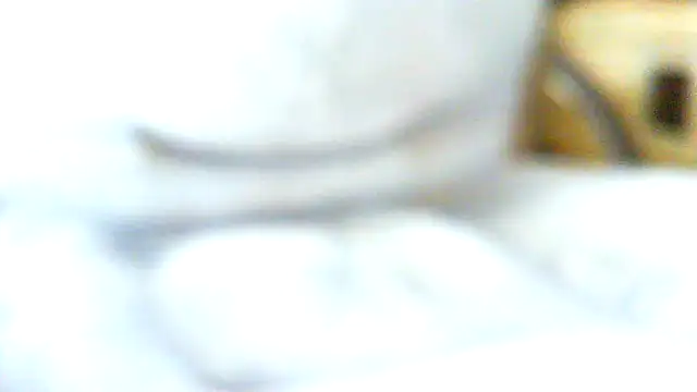 volficxh online show from April 5, 8:44 am