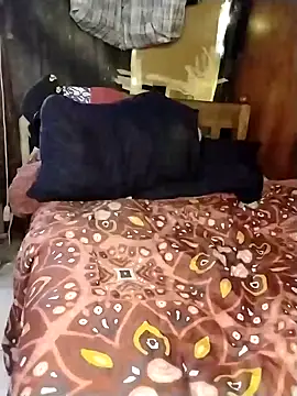 Stallion100 online show from February 12, 8:06 am