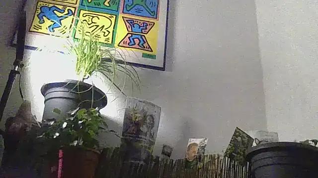 krabeatz online show from September 29, 12:31 am