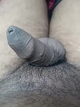 sat 1234 online show from January 10, 3:58 pm