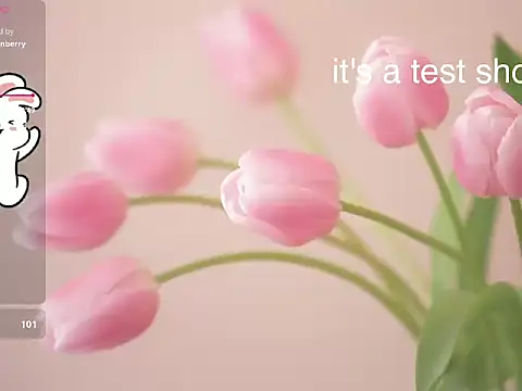 Lovensetest online show from November 11, 6:29 am