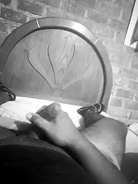 Dnick2 online show from February 5, 8:00 am