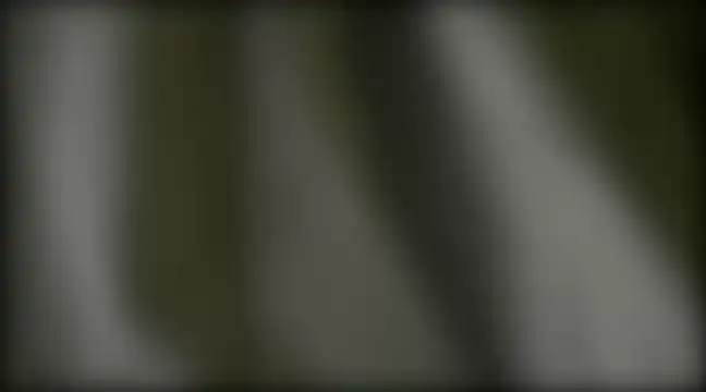 Snapshot of YoungHairyBi chatting on February 28, 8:42 am YoungHairyBi online show from February 28, 8:42 am
