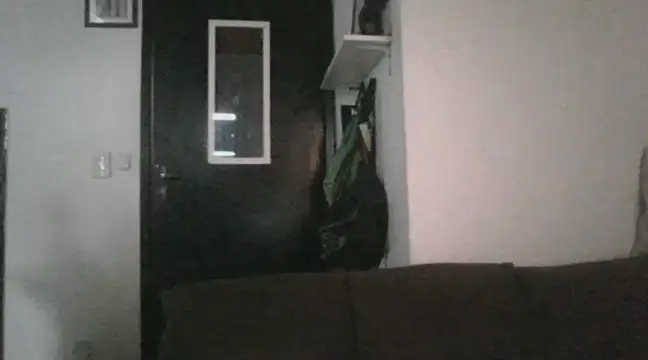 WellingtonPiettroRio online show from February 16, 2:21 pm