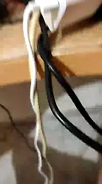 skrigul12 online show from December 28, 1:40 pm