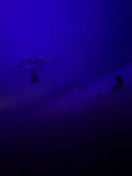 1ninefellababy online show from January 10, 10:41 am