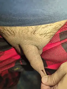 publicsir online show from April 17, 6:32 pm