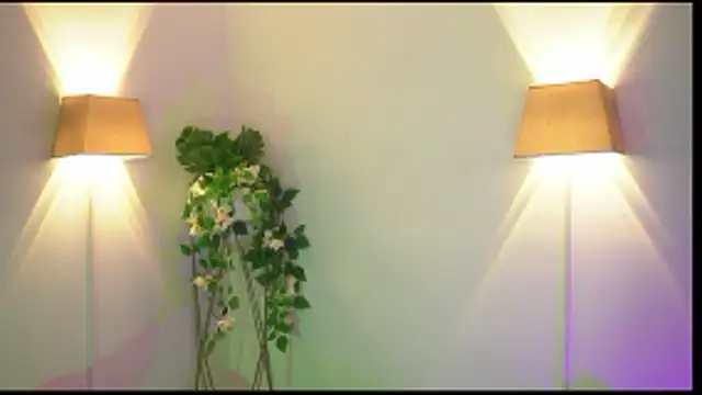 appolo allen online show from January 14, 11:30 pm