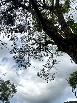 FlpGmz online show from October 19, 8:34 pm