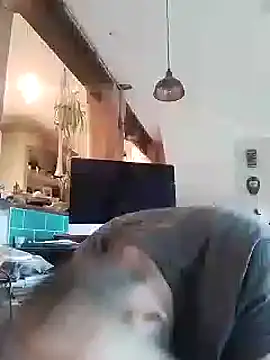 DrbigdickUK online show from January 26, 11:28 am