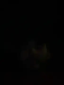 kevinsito1 online show from February 10, 6:18 am