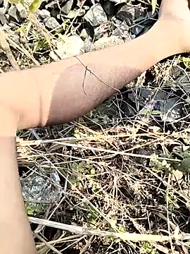 royalrohan3245 online show from November 20, 4:56 am