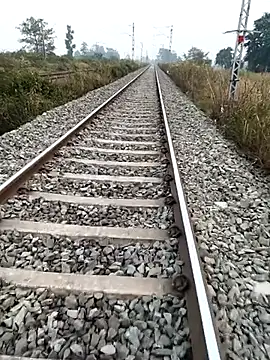 royalrohan3245 online show from November 21, 11:53 am